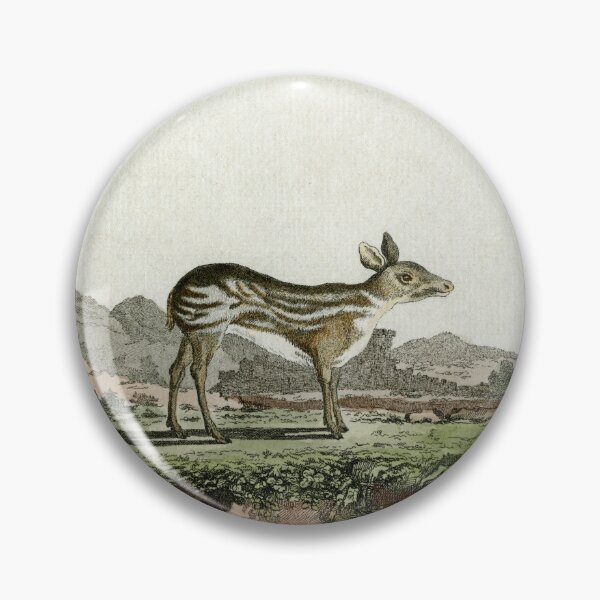 Item preview, Chevrotain drawn in 1780 for Comte de Buffon designed and sold by TerryKerrImages.