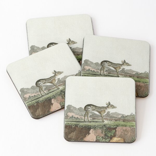 Item preview, Chevrotain drawn in 1780 for Comte de Buffon designed and sold by TerryKerrImages.