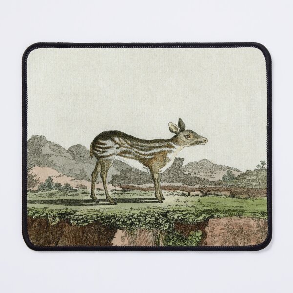 Item preview, Chevrotain drawn in 1780 for Comte de Buffon designed and sold by TerryKerrImages.