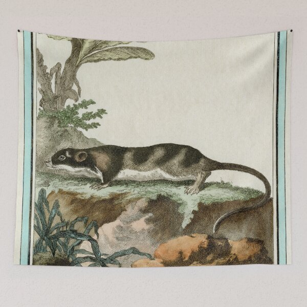Item preview, Otter from Guyana, drawn in 18th century designed and sold by TerryKerrImages.