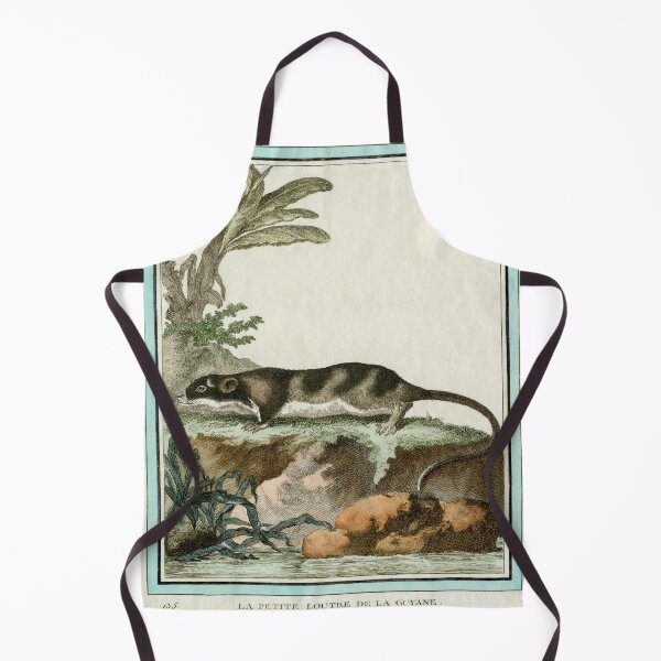 Item preview, Otter from Guyana, drawn in 18th century designed and sold by TerryKerrImages.