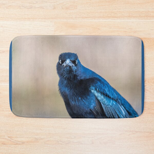 Item preview, Close-Up of Watchful Great-tailed Grackle designed and sold by Debra Martz.