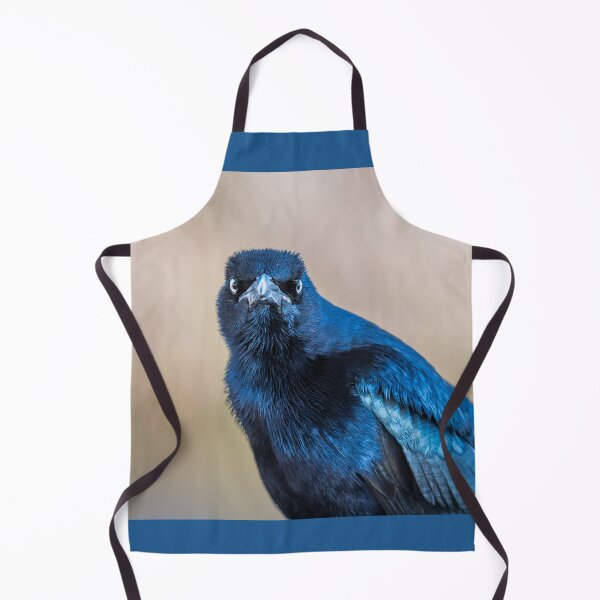 Item preview, Close-Up of Watchful Great-tailed Grackle designed and sold by Debra Martz.