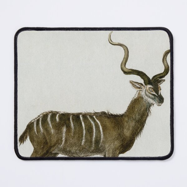 Item preview, Striped antelope with spiral horns, drawn in 1780 designed and sold by TerryKerrImages.