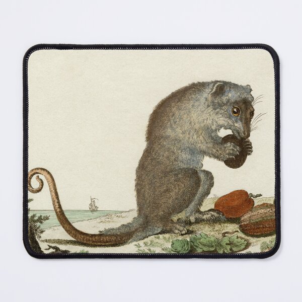 Item preview, Female possum with tasty snack, drawn in 1780 designed and sold by TerryKerrImages.