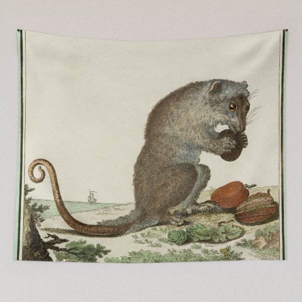 Item preview, Female possum with tasty snack, drawn in 1780 designed and sold by TerryKerrImages.