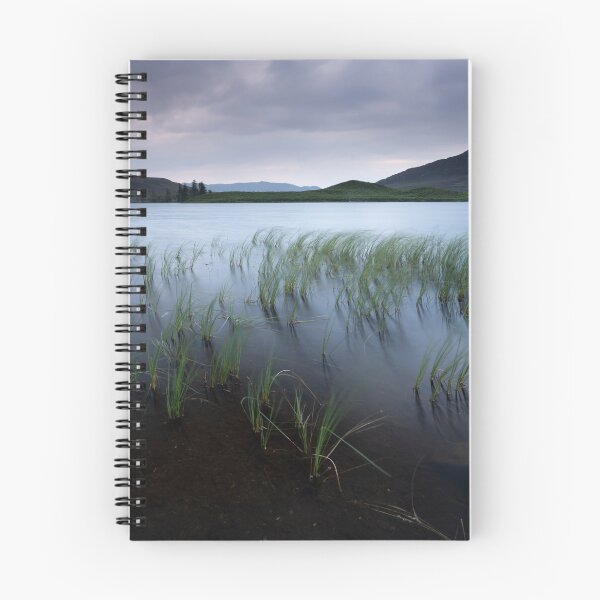 Item preview, reeds, loch tarff designed and sold by codaimages.