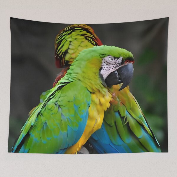 Item preview, Macaw Parrot designed and sold by WonderWildWorks.