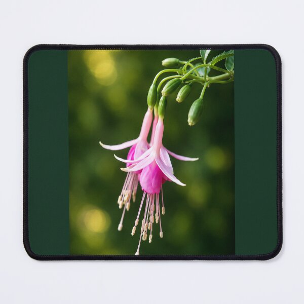 Item preview, Graceful Fuchsia designed and sold by Kimberly Palmer.