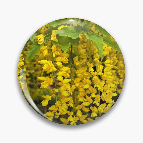Item preview, Laburnum Flower Trusses designed and sold by Violaman.