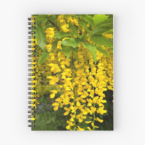 Item preview, Laburnum Flower Trusses designed and sold by Violaman.