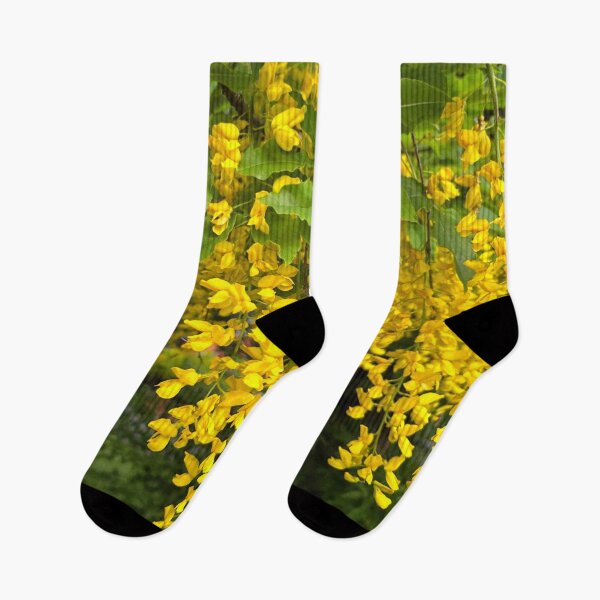 Item preview, Laburnum Flower Trusses designed and sold by Violaman.