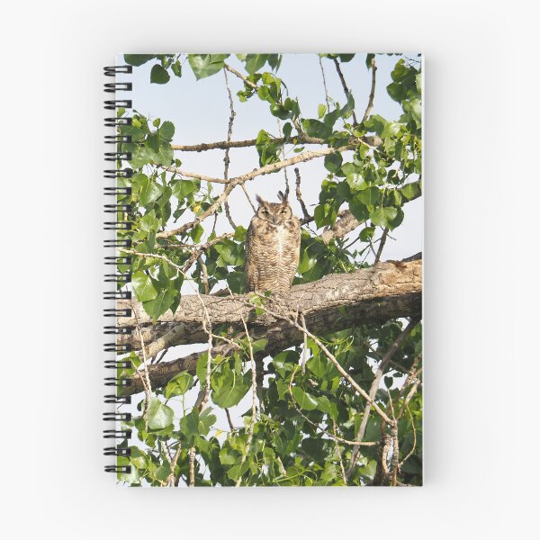 Artikelvorschau, Virginia-Uhu im Pappelbaum – Wildtierfotografie-Kunstdruck — Vögel aus Colorado entworfen und verkauft von LeonaLines.