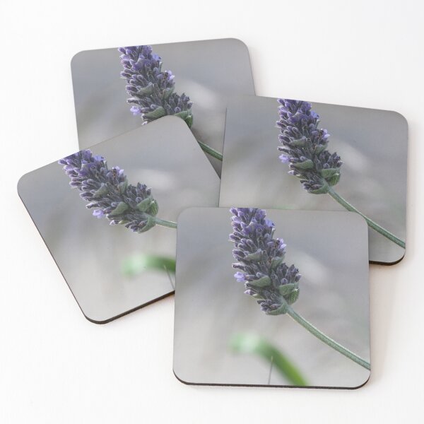 Item preview, Close-Up Lavender Flower Spike With Soft Bokeh Background, Purple Blooming Herb in Garden designed and sold by Nmallia.