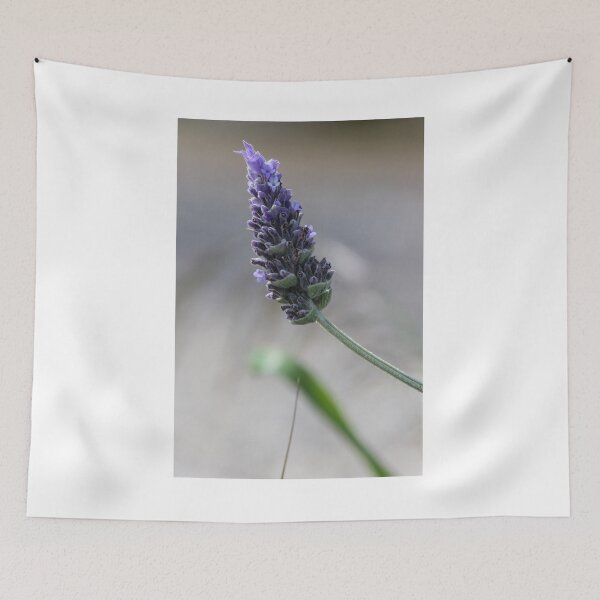 Item preview, Close-Up Lavender Flower Spike With Soft Bokeh Background, Purple Blooming Herb in Garden designed and sold by Nmallia.