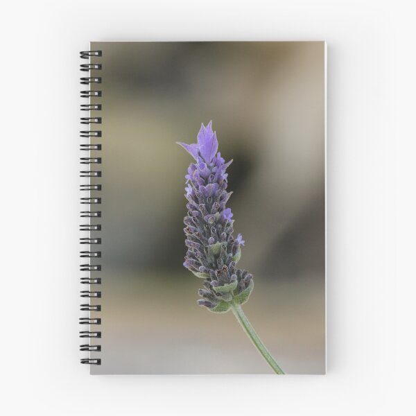 Item preview, Close-Up Lavender Flower Spike With Soft Bokeh Background, Purple Blooming Herb in Garden designed and sold by Nmallia.