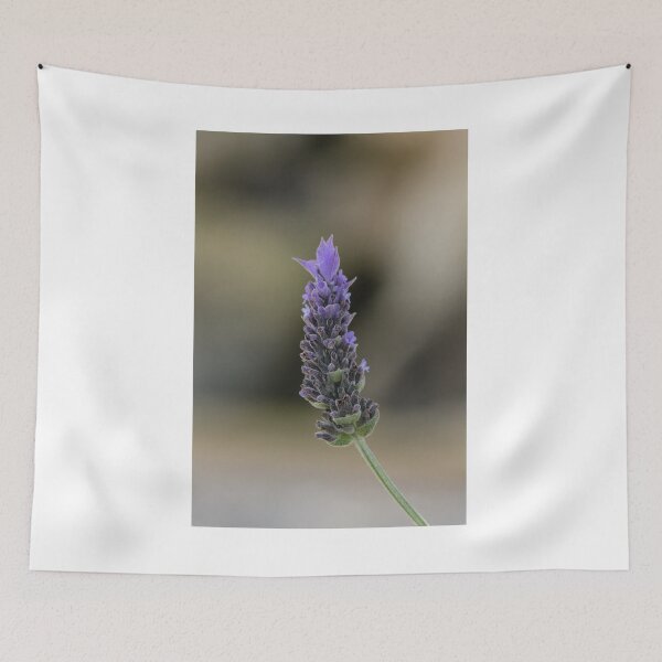 Item preview, Close-Up Lavender Flower Spike With Soft Bokeh Background, Purple Blooming Herb in Garden designed and sold by Nmallia.