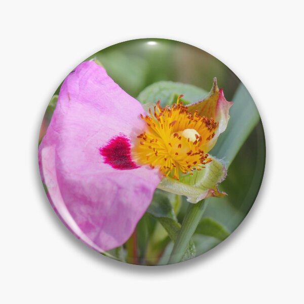 Item preview, Pink Wildflower Close-Up With Yellow Stamen and Single Petal Detail In Natural Green Background designed and sold by Nmallia.