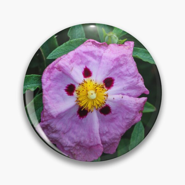 Item preview, Pink Wildflower Close-Up With Yellow Stamen and Single Petal Detail In Natural Green Background designed and sold by Nmallia.