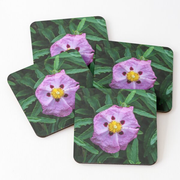 Item preview, Pink Wildflower Close-Up With Yellow Stamen and Single Petal Detail In Natural Green Background designed and sold by Nmallia.