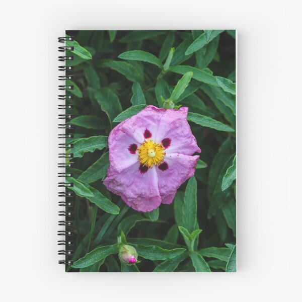 Item preview, Pink Wildflower Close-Up With Yellow Stamen and Single Petal Detail In Natural Green Background designed and sold by Nmallia.