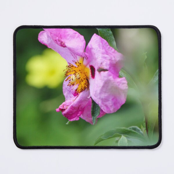 Item preview, Pink Wildflower Close-Up With Yellow Stamen and Single Petal Detail In Natural Green Background designed and sold by Nmallia.