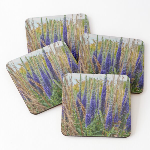 Item preview, Blue Veronica Speedwell Wildflowers Photography Art Print — Colorado Botanical Garden Nature designed and sold by LeonaLines.