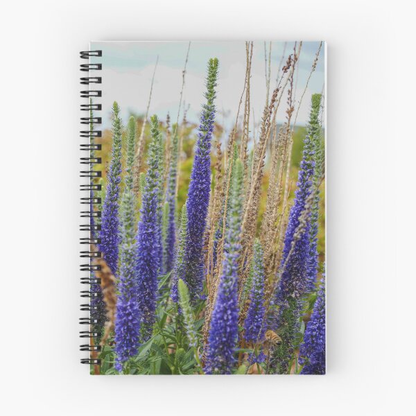 Item preview, Blue Veronica Speedwell Wildflowers Photography Art Print — Colorado Botanical Garden Nature designed and sold by LeonaLines.