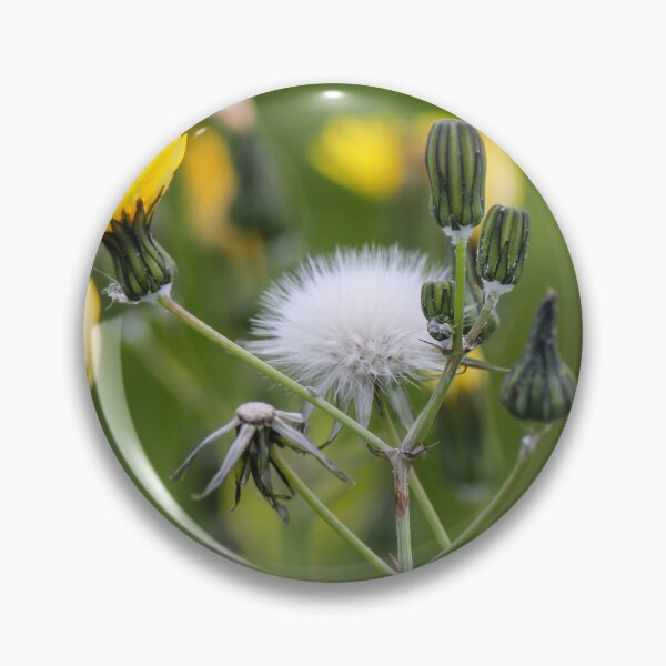 Item preview, Delicate Wildflower Dandelion Seed Head and Yellow Blossoms Against Soft Green Background designed and sold by Nmallia.