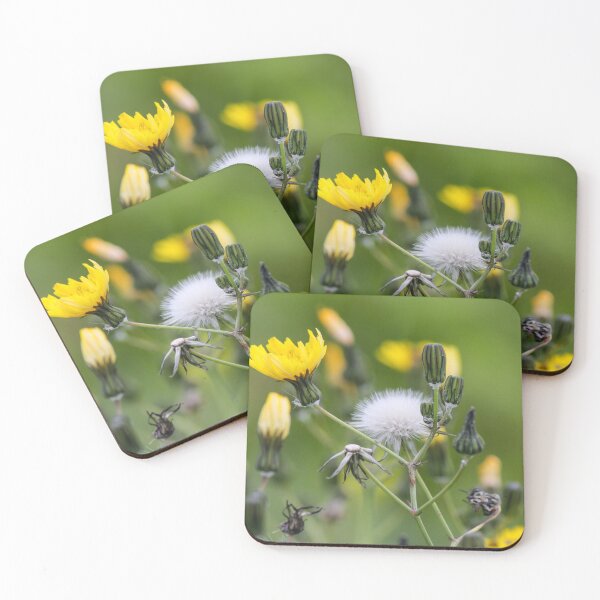 Item preview, Delicate Wildflower Dandelion Seed Head and Yellow Blossoms Against Soft Green Background designed and sold by Nmallia.