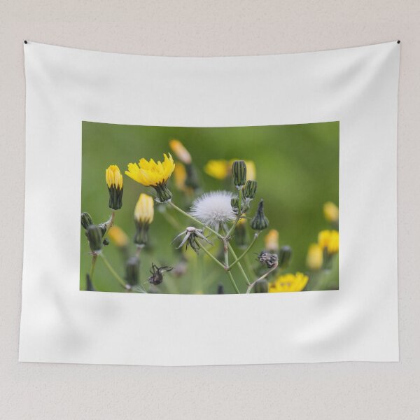 Item preview, Delicate Wildflower Dandelion Seed Head and Yellow Blossoms Against Soft Green Background designed and sold by Nmallia.