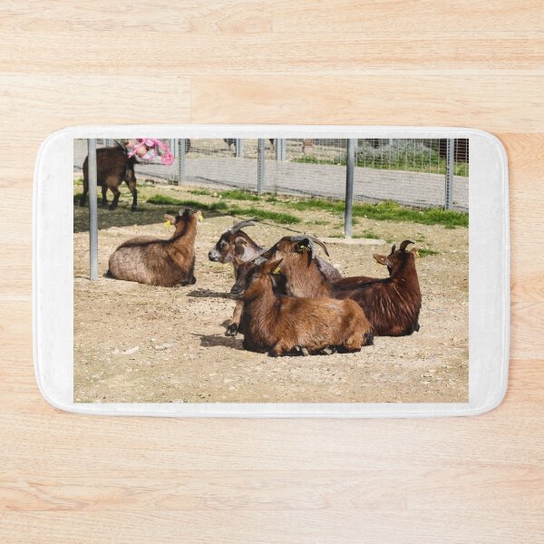 Item preview, Brown Goats Resting in Sunny Farm Enclosure With Horns and Ear Tags designed and sold by Nmallia.