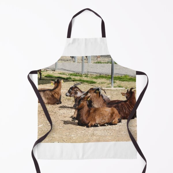 Item preview, Brown Goats Resting in Sunny Farm Enclosure With Horns and Ear Tags designed and sold by Nmallia.