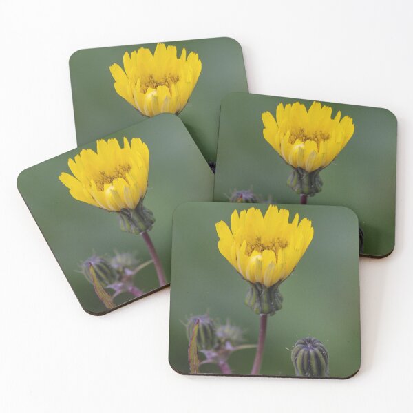 Item preview, Yellow Wildflower Bloom With Multiple Closed Buds On Stem Macro Close-Up Green Background designed and sold by Nmallia.