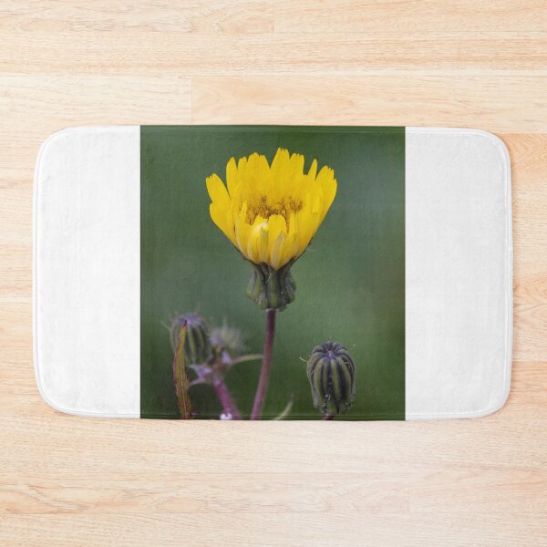 Item preview, Yellow Wildflower Bloom With Multiple Closed Buds On Stem Macro Close-Up Green Background designed and sold by Nmallia.
