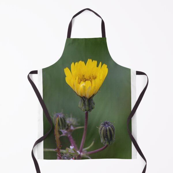 Item preview, Yellow Wildflower Bloom With Multiple Closed Buds On Stem Macro Close-Up Green Background designed and sold by Nmallia.