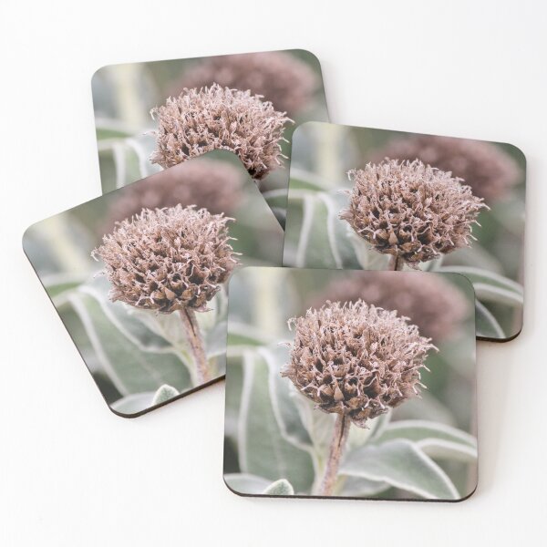 Item preview, Dried Flower Seed Head Macro Photography On Soft Green Foliage — Brown Natural Texture Closeup designed and sold by Nmallia.