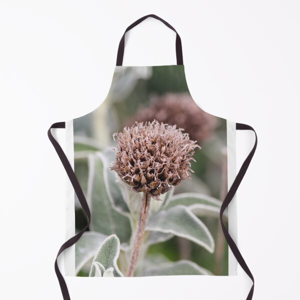 Item preview, Dried Flower Seed Head Macro Photography On Soft Green Foliage — Brown Natural Texture Closeup designed and sold by Nmallia.