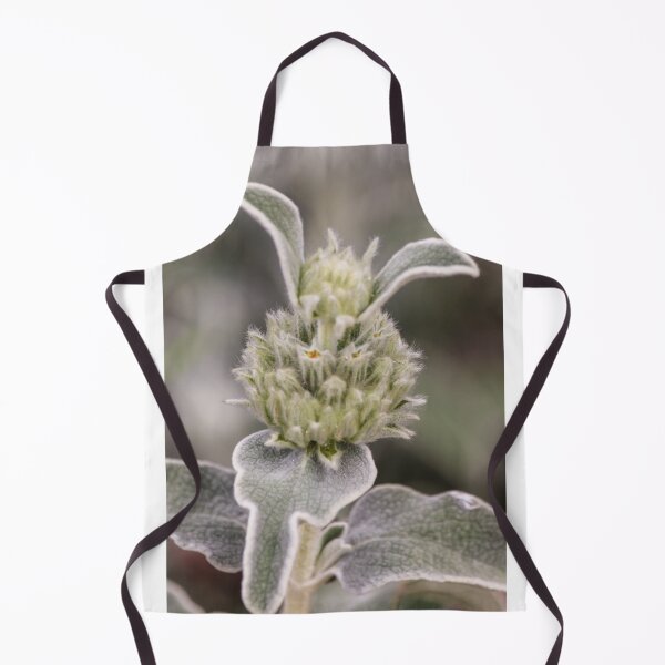 Item preview, Close-Up Of Fuzzy Silver Green Plant With Woolly Leaves And Soft Buds In Shallow Focus designed and sold by Nmallia.