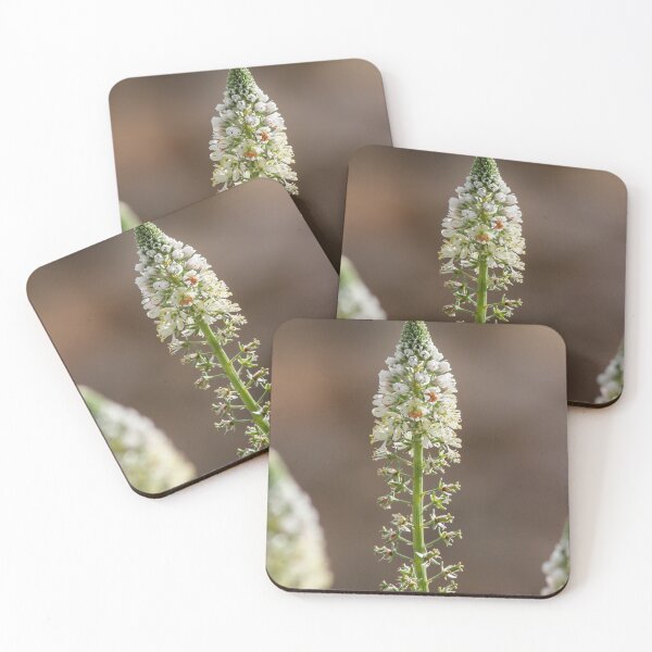 Item preview, White Spiky Wildflower Blooming on Tall Green Stem With Soft Brown Bokeh Background designed and sold by Nmallia.