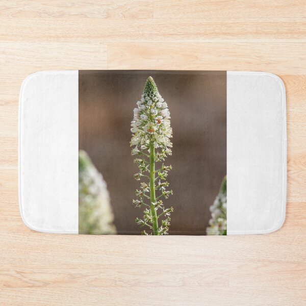 Item preview, White Spiky Wildflower Blooming on Tall Green Stem With Soft Brown Bokeh Background designed and sold by Nmallia.