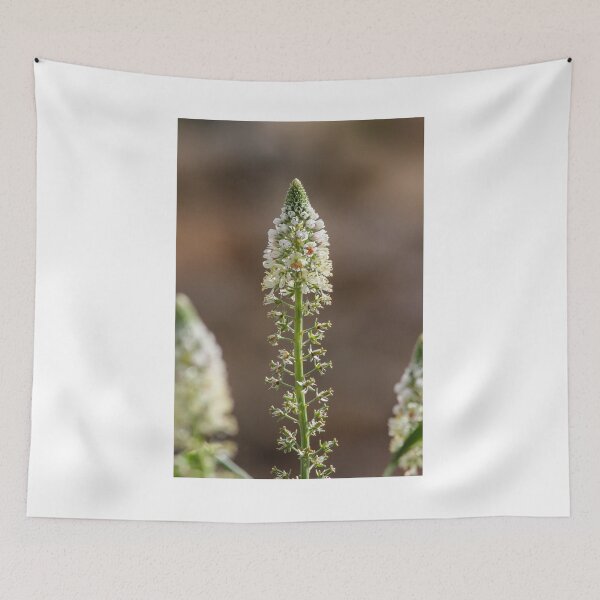 Item preview, White Spiky Wildflower Blooming on Tall Green Stem With Soft Brown Bokeh Background designed and sold by Nmallia.