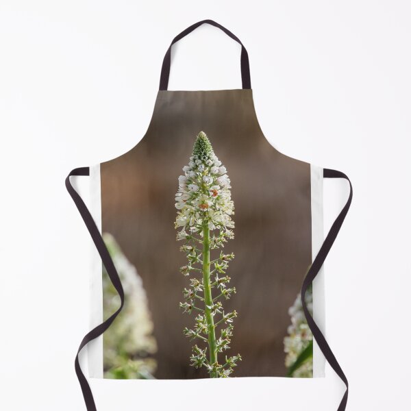 Item preview, White Spiky Wildflower Blooming on Tall Green Stem With Soft Brown Bokeh Background designed and sold by Nmallia.