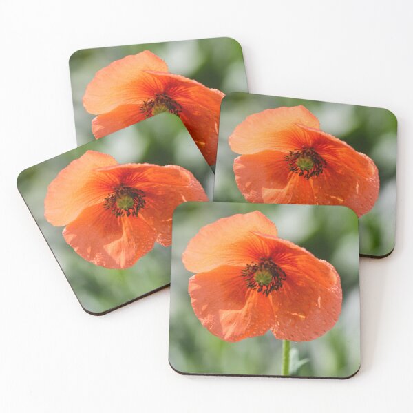 Item preview, Orange Poppy Flower With Dew Drops Macro Close-Up Against Soft Green Background designed and sold by Nmallia.