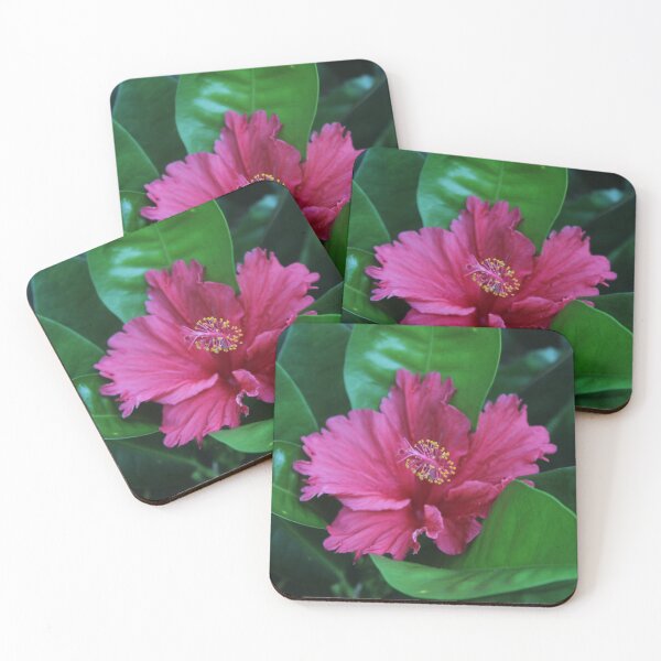 Item preview, Exotic Hibiscus Flower Close-Up - Soft nature photography designed and sold by Cha-s-lens.