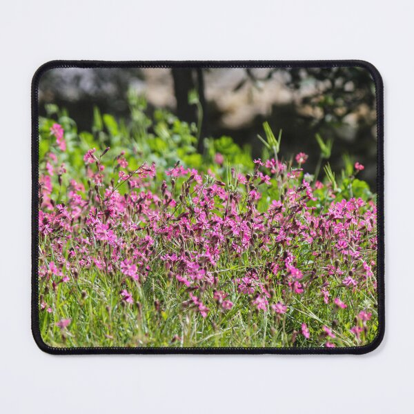 Item preview, Pink Wildflowers in a Sunny Spring Meadow With Green Grass and Soft Background Trees designed and sold by Nmallia.