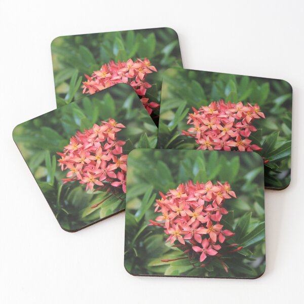 Item preview, Jungle Geranium in Bloom - Soft nature photography designed and sold by Cha-s-lens.