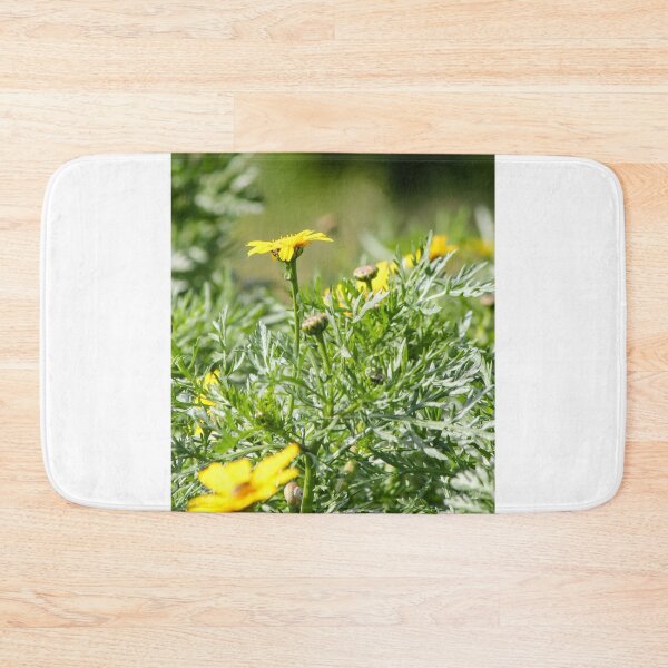 Item preview, Yellow Daisy Among Green Foliage With Small Snail on Stem In Sunny Garden Close-Up designed and sold by Nmallia.