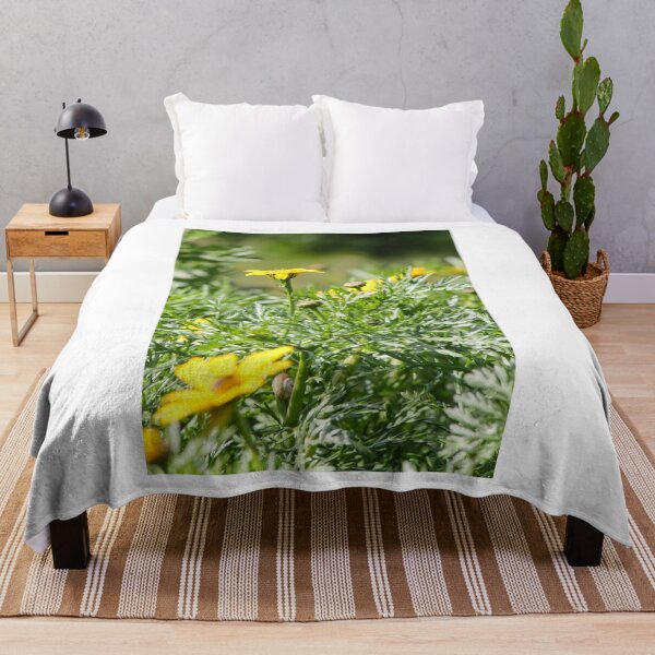 Item preview, Yellow Daisy Among Green Foliage With Small Snail on Stem In Sunny Garden Close-Up designed and sold by Nmallia.