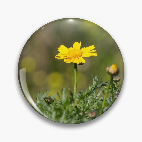 Item preview, Yellow Daisy Among Green Foliage With Small Snail on Stem In Sunny Garden Close-Up designed and sold by Nmallia.